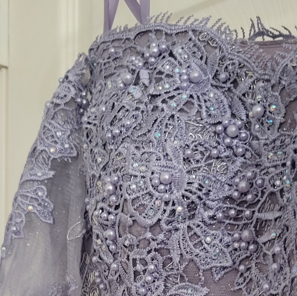 Stunning Genuine Cinderella Divine Light Violet Mermaid Lace Gown size 8 - Picture 9 of 15